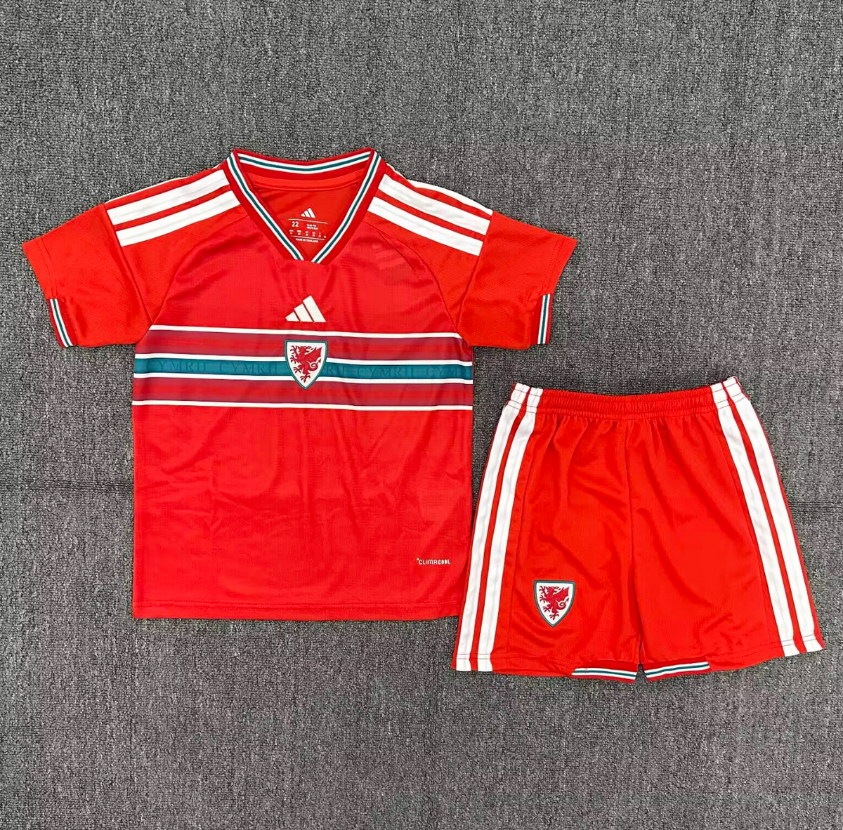 Wales 2026/2027 Kids Jersey